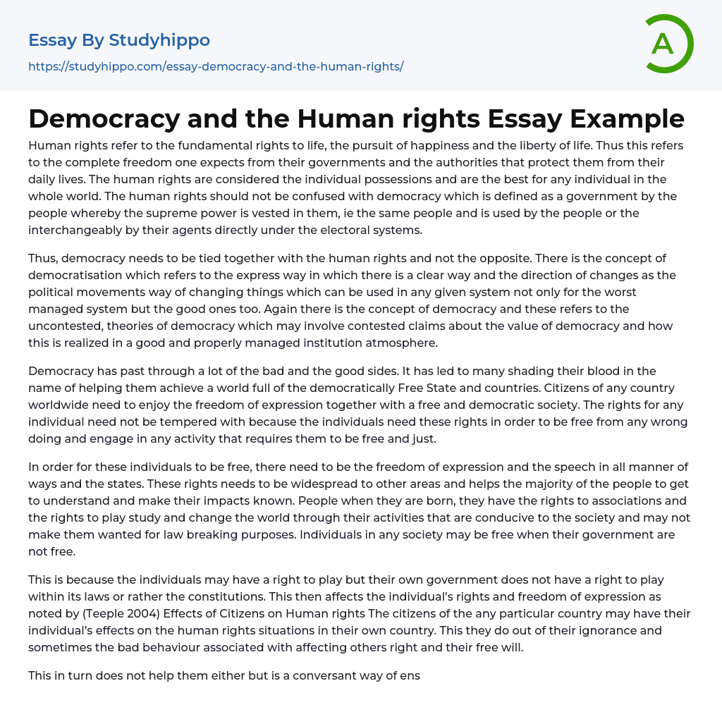 Democracy and the Human rights Essay Example