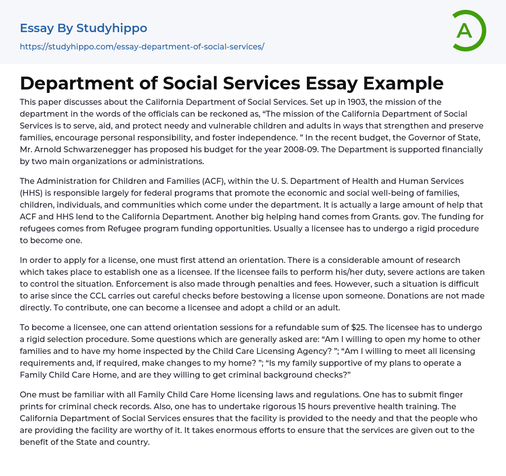 Department of Social Services Essay Example