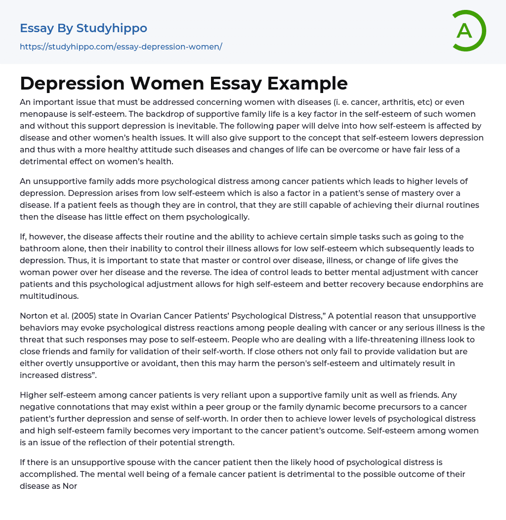 Depression Women Essay Example