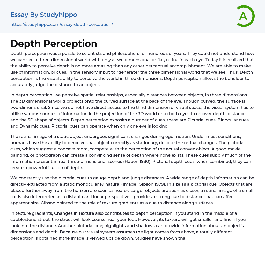 Depth Perception Essay Example