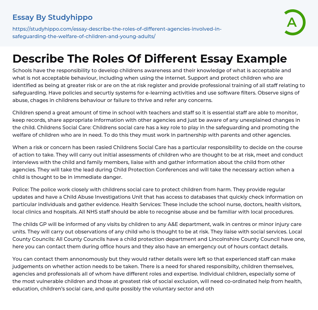 Describe The Roles Of Different Essay Example