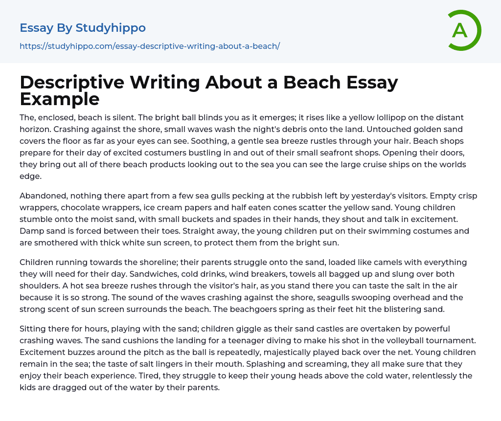 essay on beach for class 6