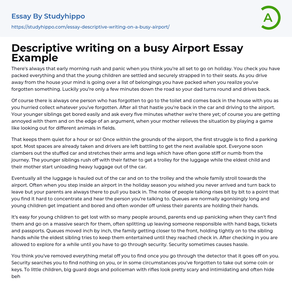 Descriptive writing on a busy Airport Essay Example
