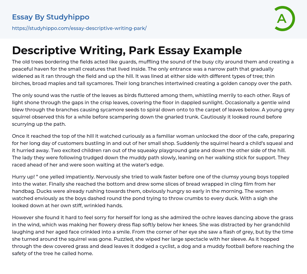 Descriptive Writing, Park Essay Example