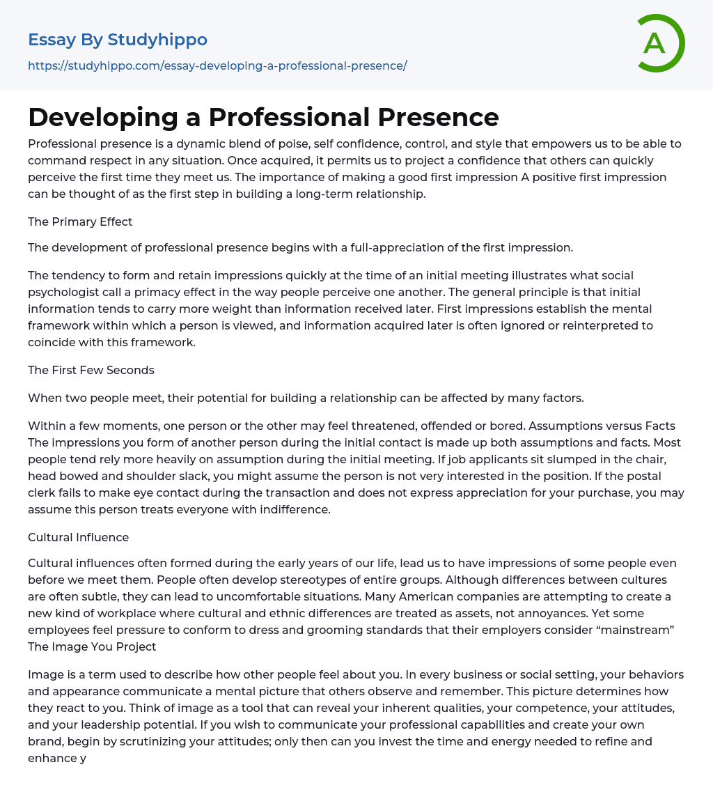 Developing a Professional Presence Essay Example