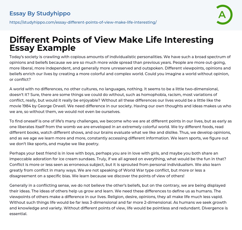 Different Points of View Make Life Interesting Essay Example