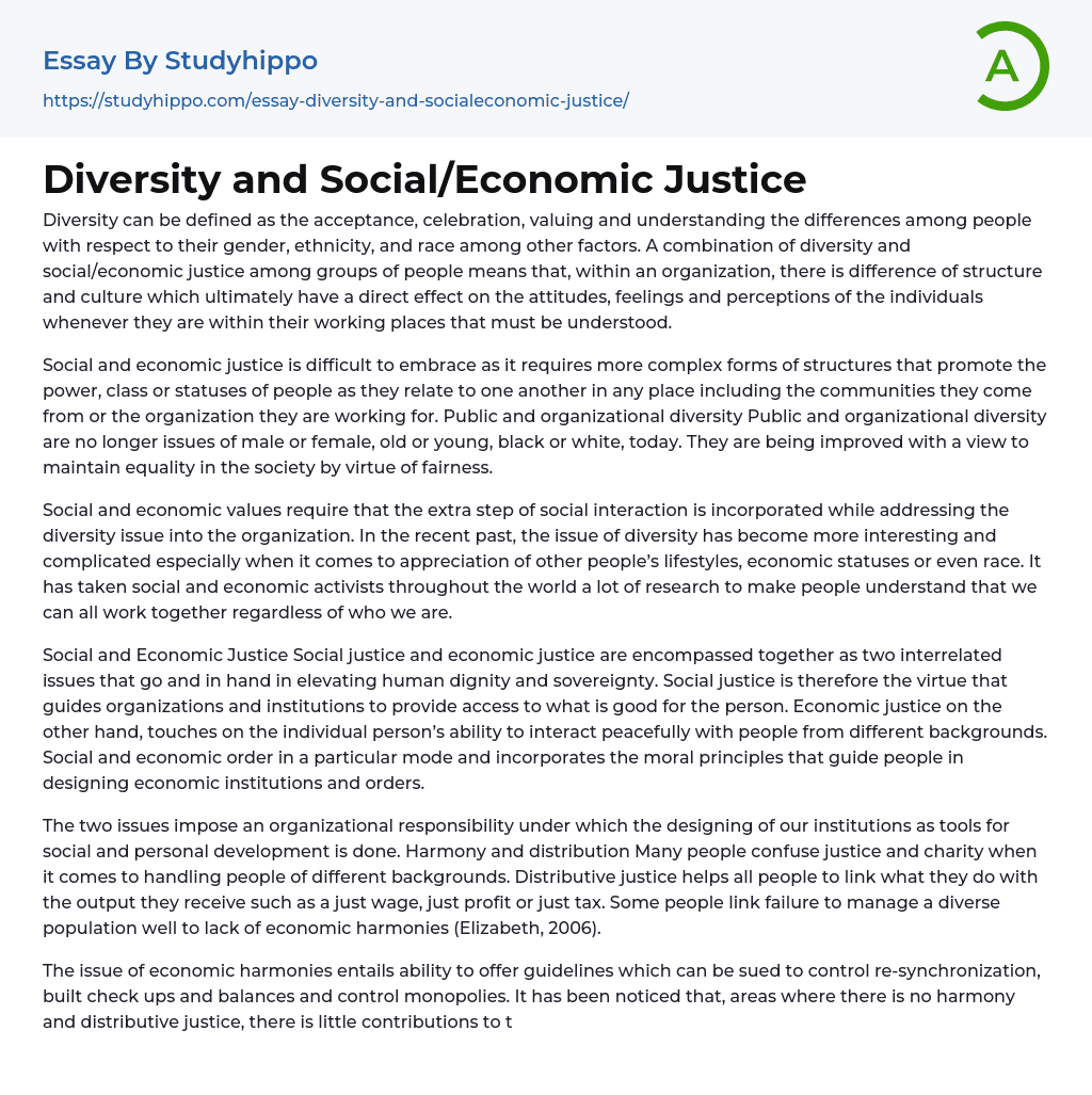 social and economic justice essay