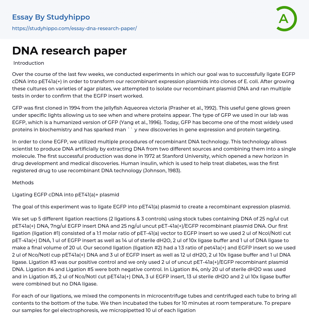 DNA research paper Essay Example