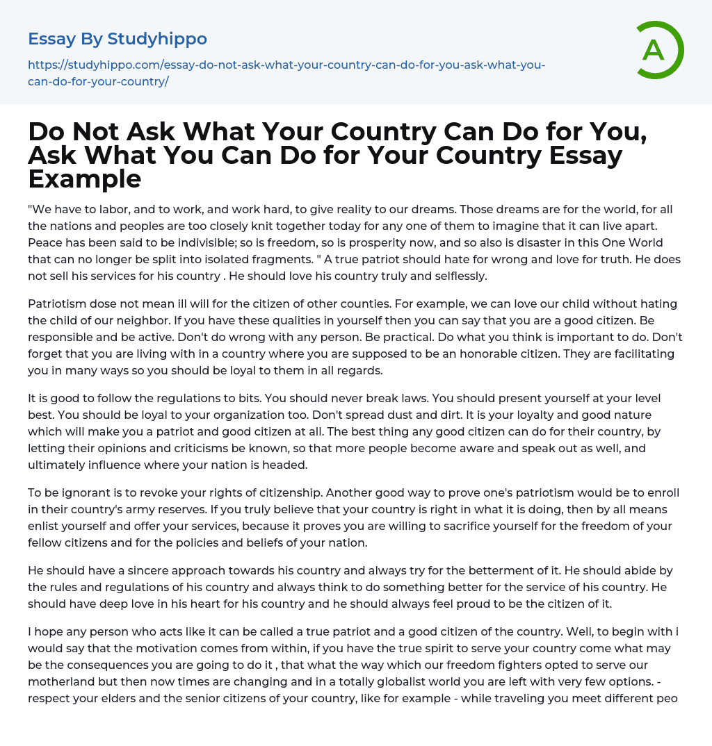 Do Not Ask What Your Country Can Do for You, Ask What You Can Do for Your Country Essay Example