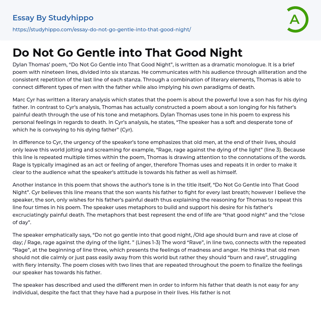 Do Not Go Gentle into That Good Night Essay Example