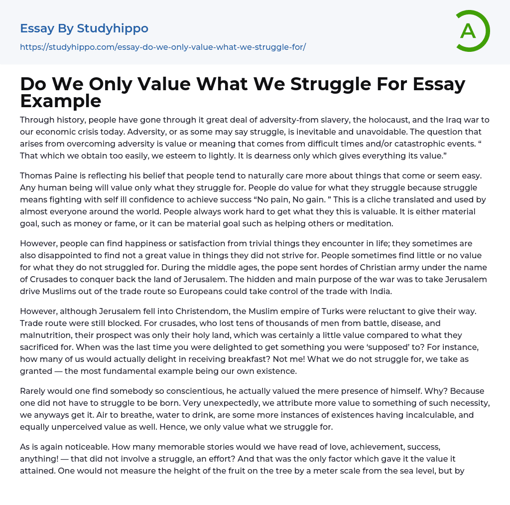 Do We Only Value What We Struggle For Essay Example