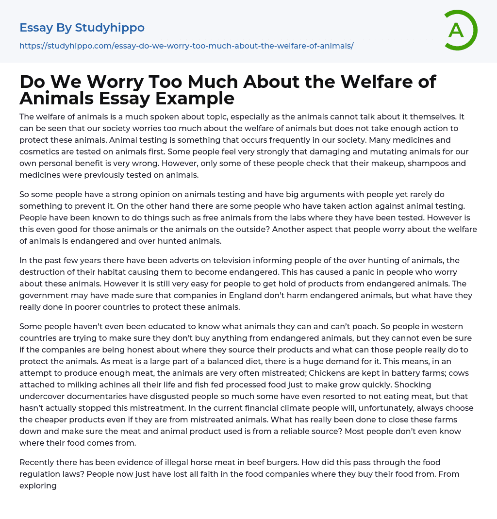 Do We Worry Too Much About the Welfare of Animals Essay Example