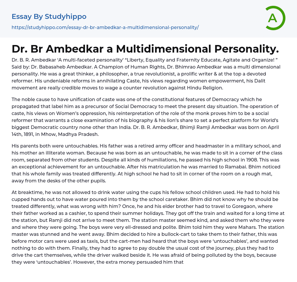 Dr. Br Ambedkar a Multidimensional Personality Essay Example
