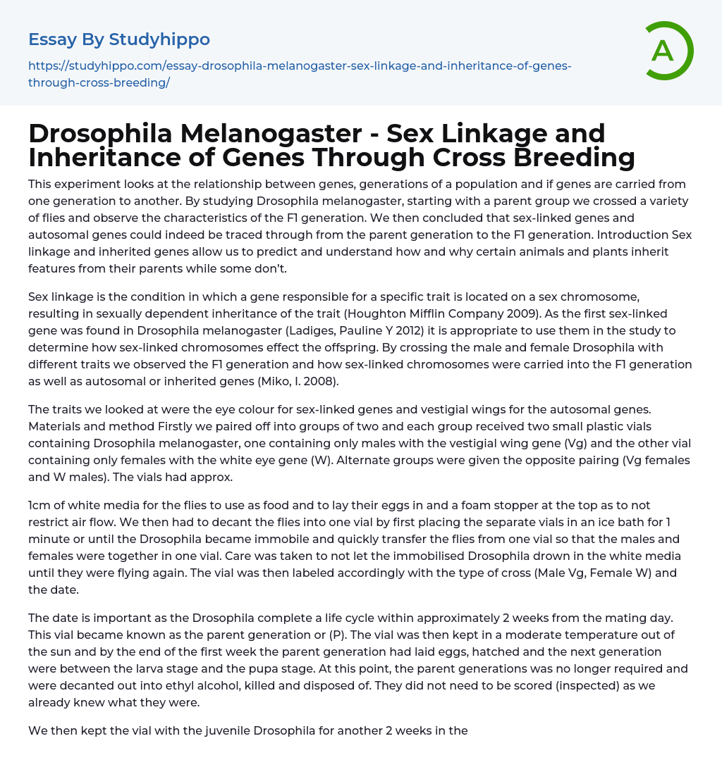 Drosophila Melanogaster – Sex Linkage and Inheritance of Genes Through Cross Breeding Essay Example