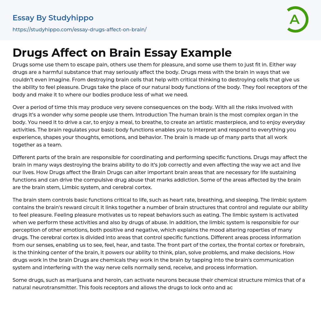 essay about drugs brainly
