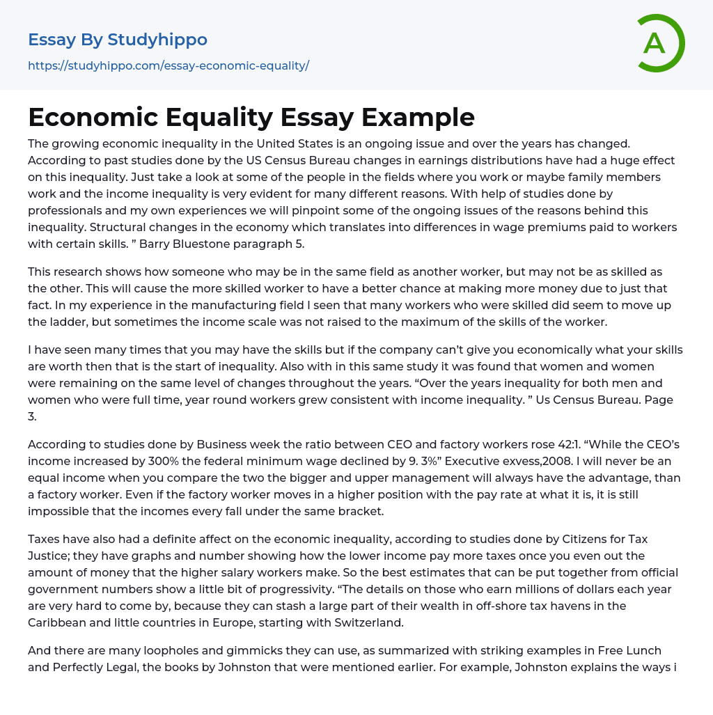 Economic Equality Essay Example