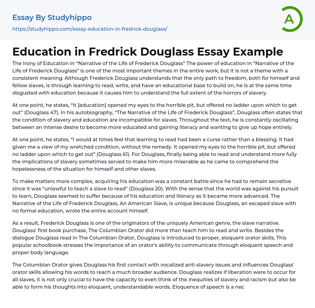 Education in Fredrick Douglass Essay Example