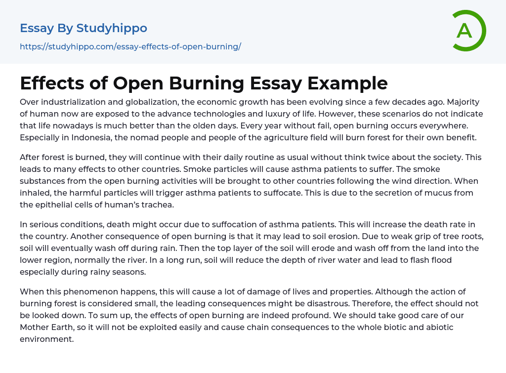 Effects of Open Burning Essay Example