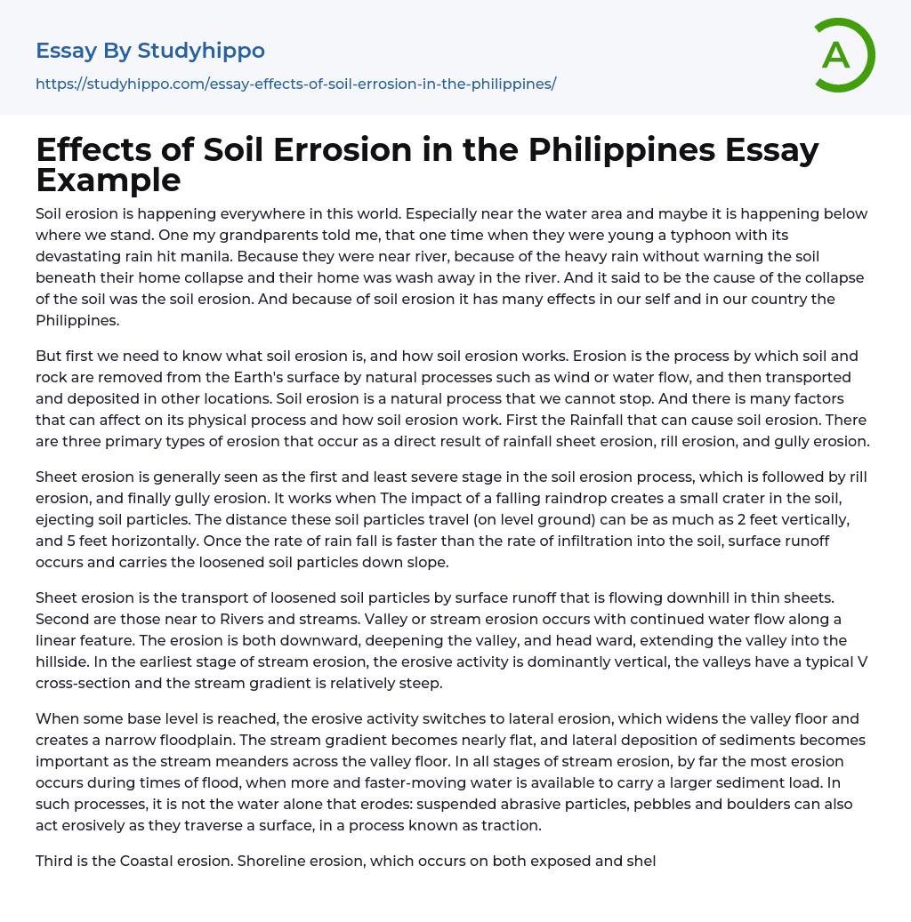 Effects of Soil Errosion in the Philippines Essay Example