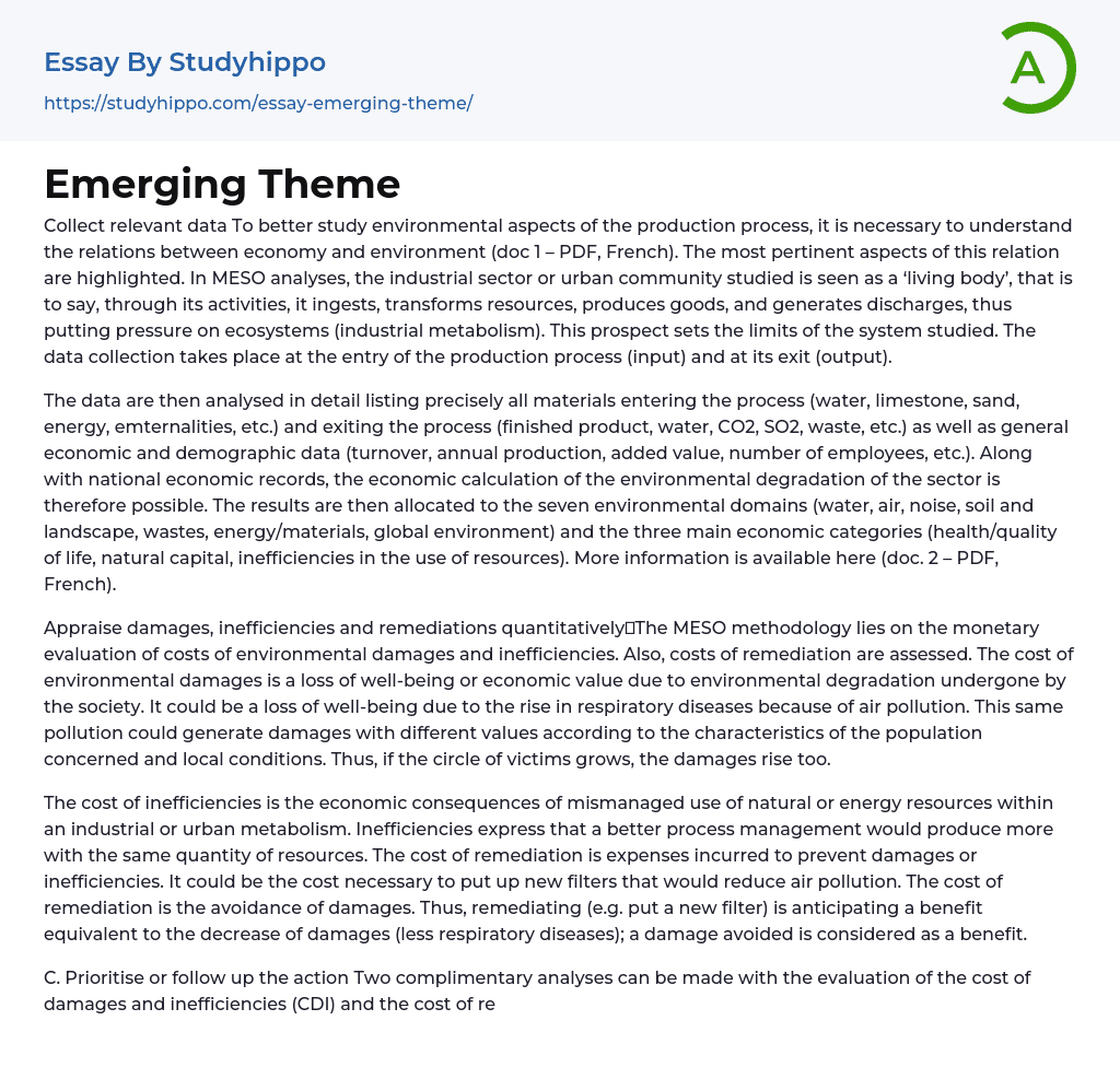 Emerging Theme Essay Example