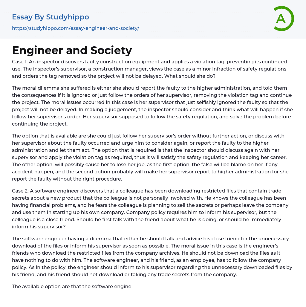 Engineer and Society Essay Example