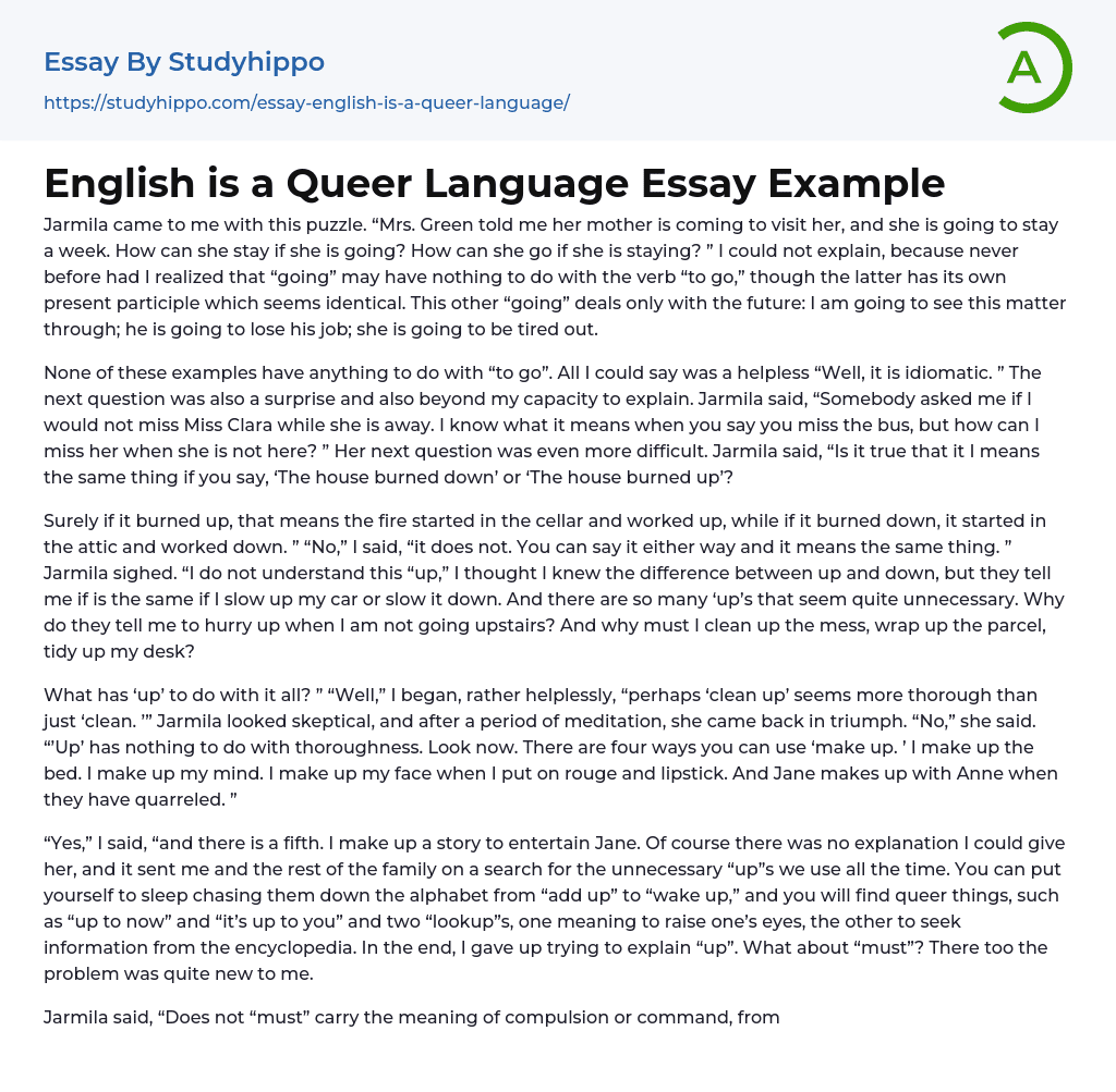 English is a Queer Language Essay Example