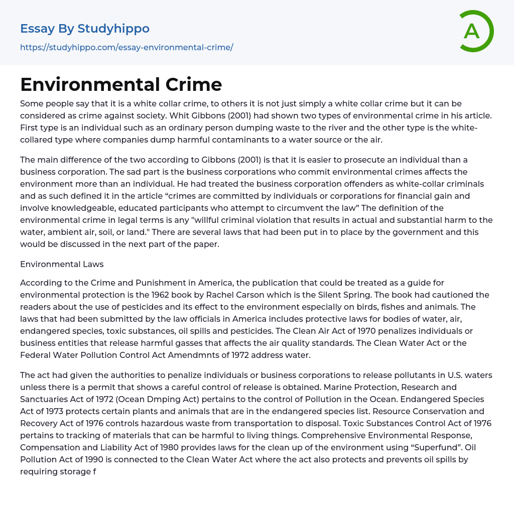 Environmental Crime Essay Example