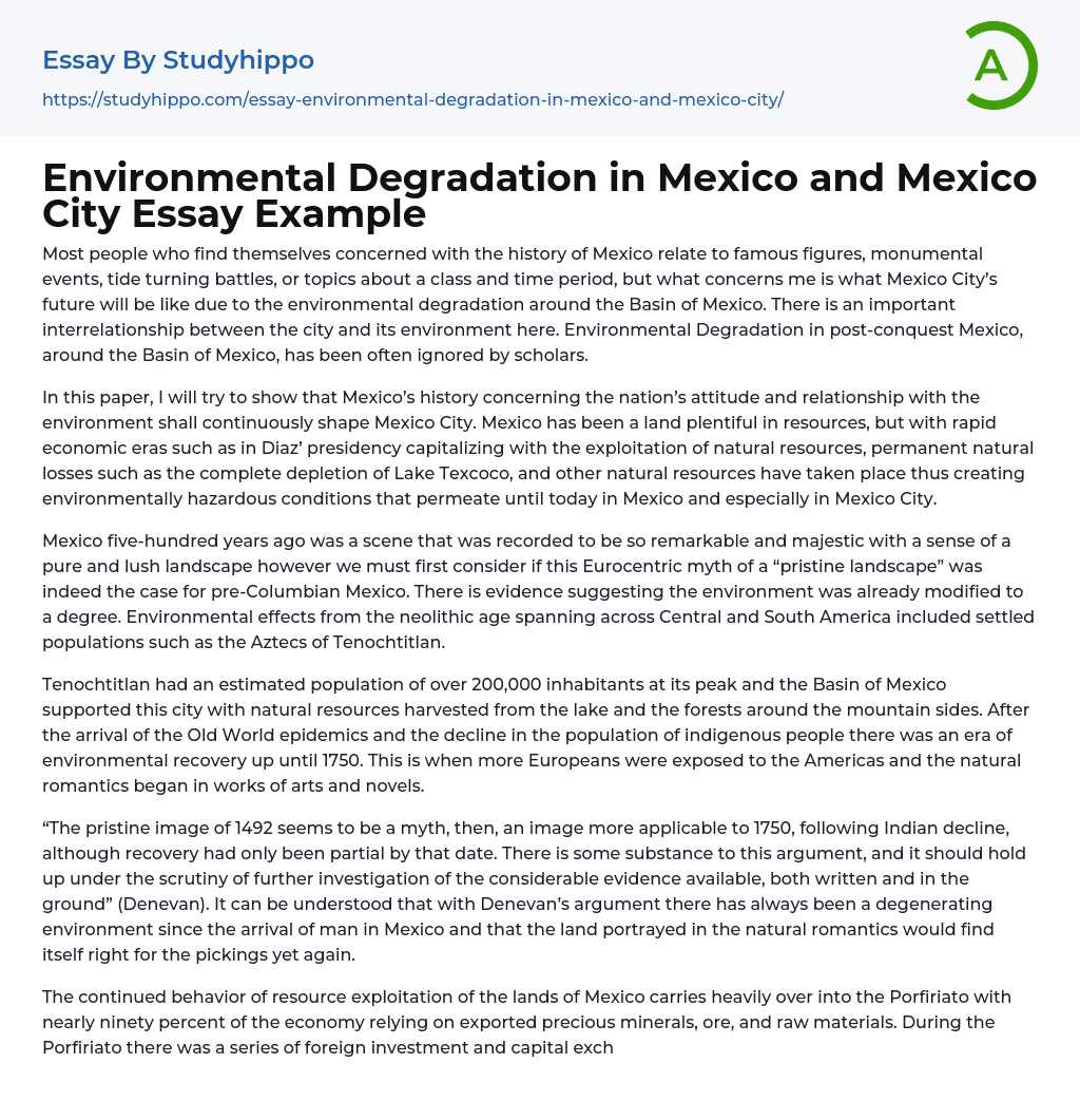 Environmental Degradation in Mexico and Mexico City Essay Example