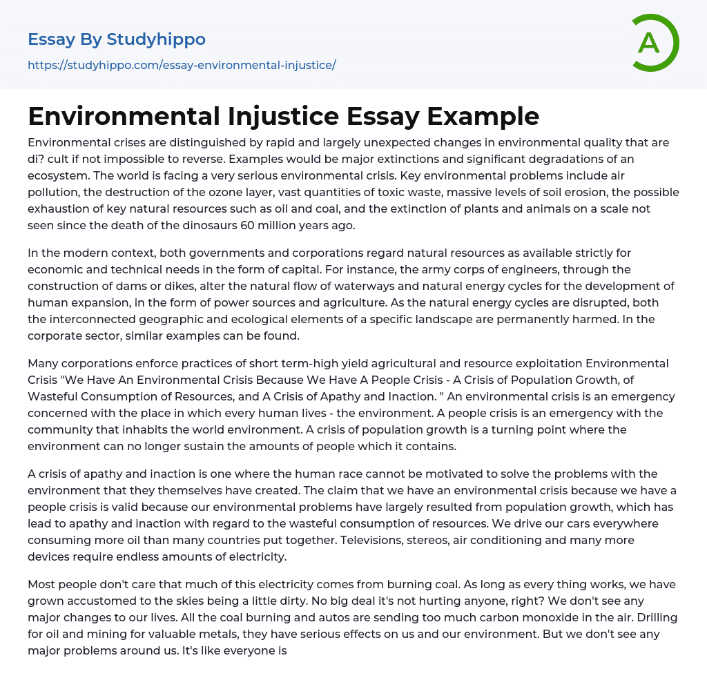 Environmental Injustice Essay Example