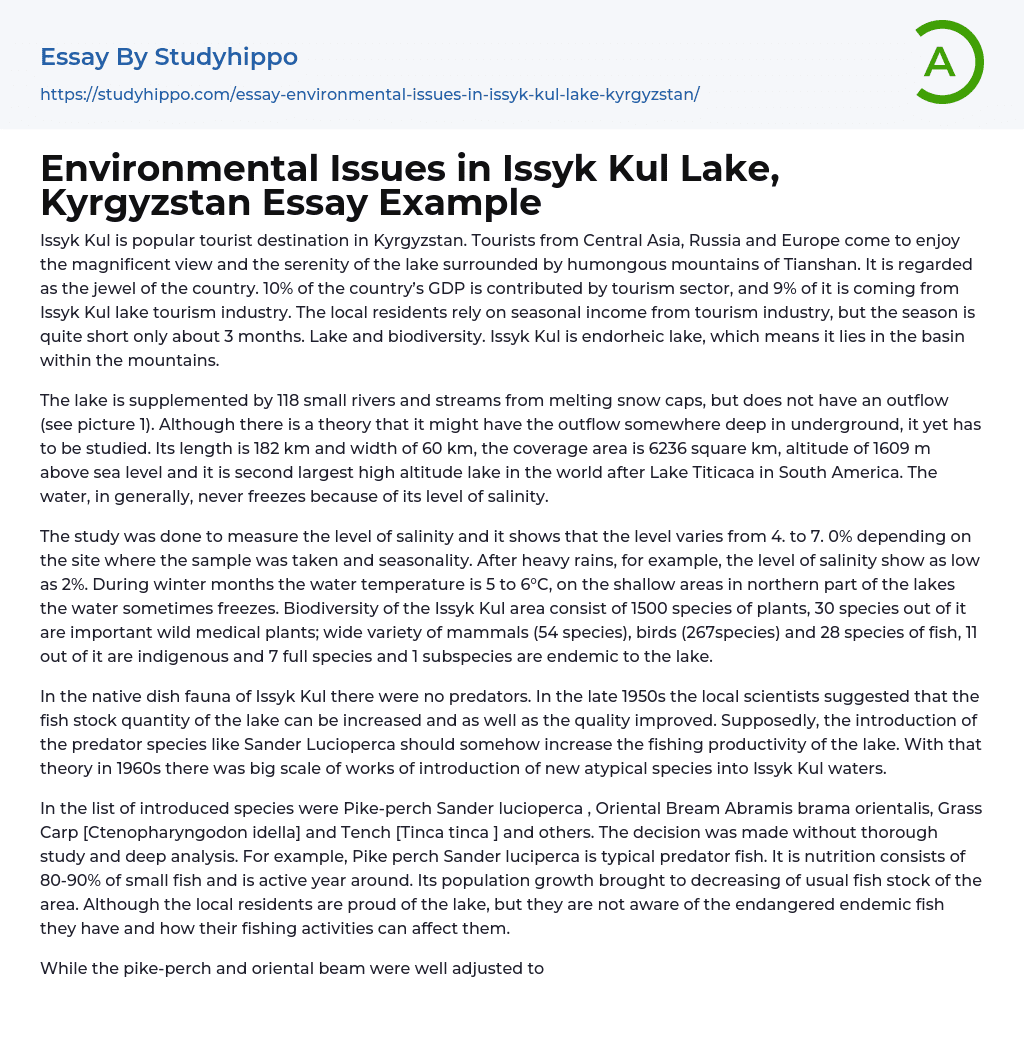 Environmental Issues in Issyk Kul Lake, Kyrgyzstan Essay Example