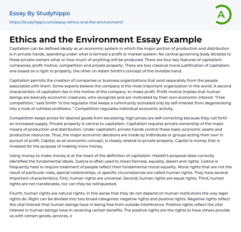 Ethics and the Environment Essay Example