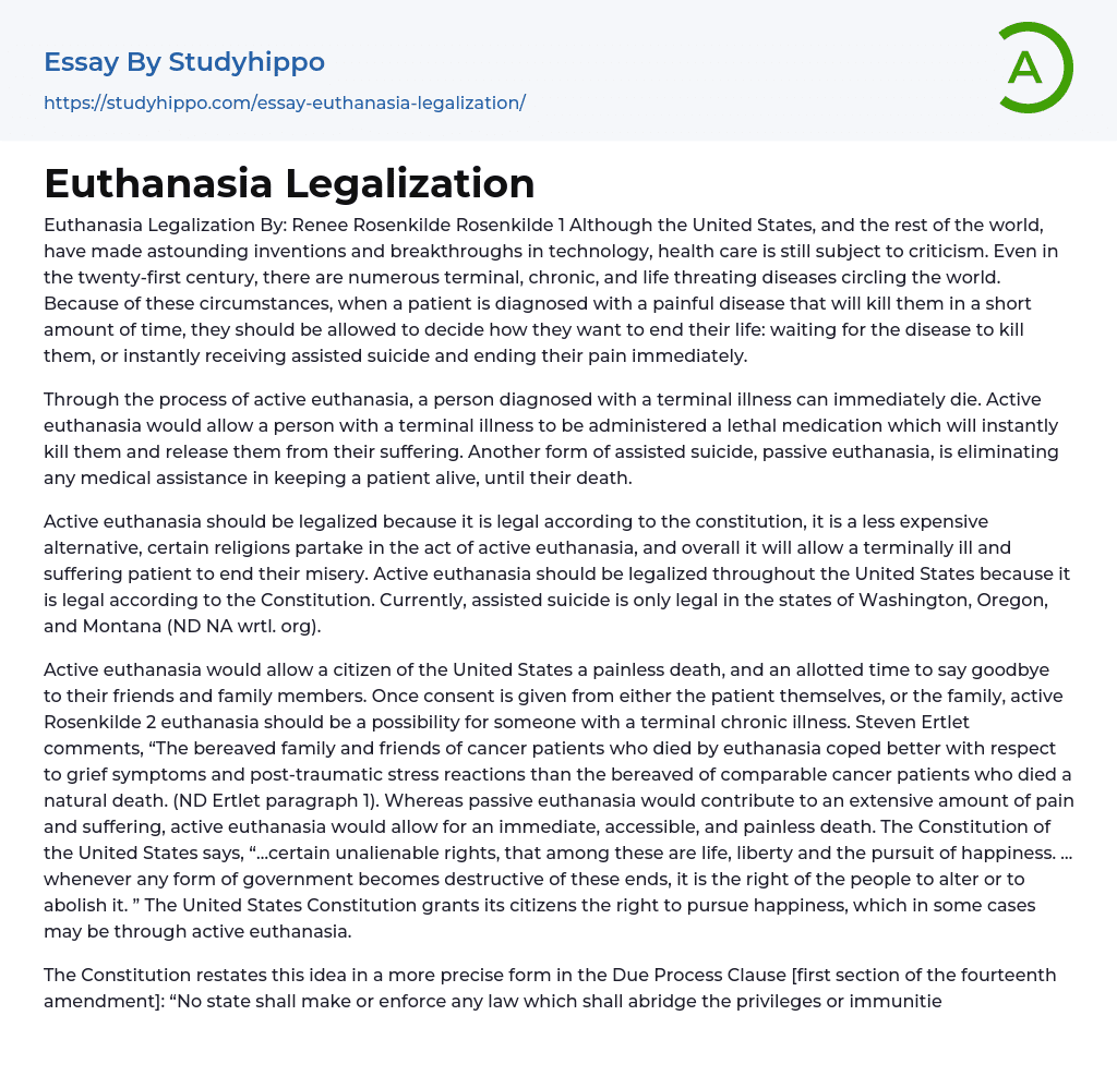 Euthanasia Legalization Essay Example