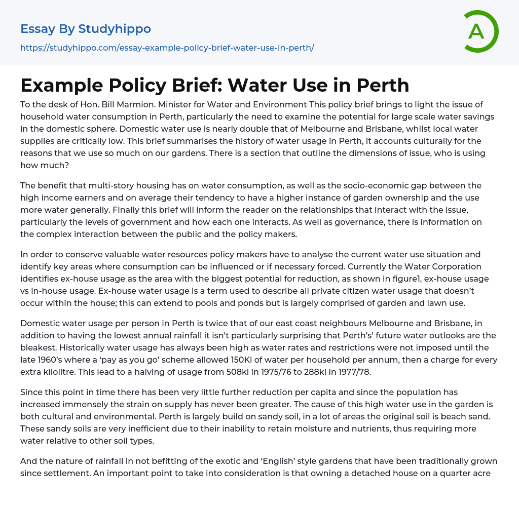 Example Policy Brief: Water Use in Perth Essay Example