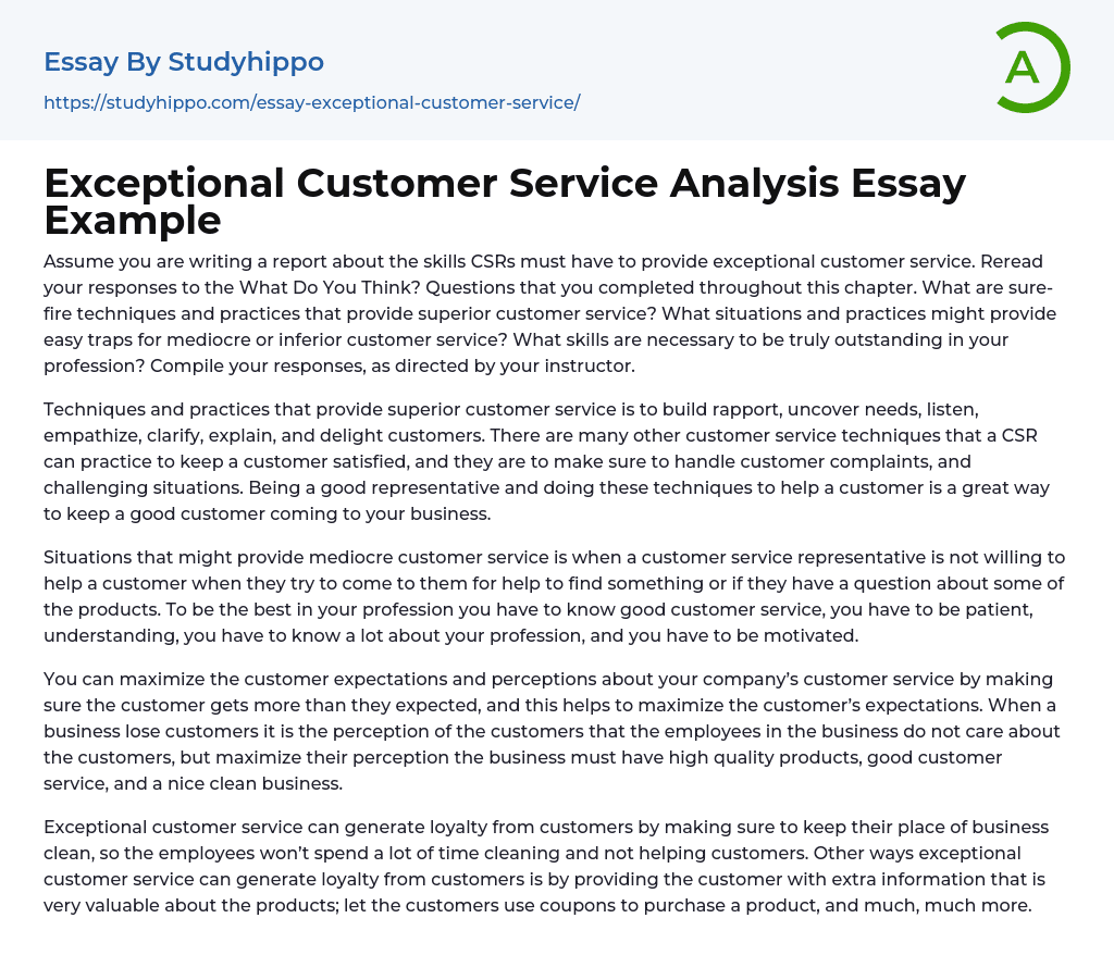 Exceptional Customer Service Analysis Essay Example