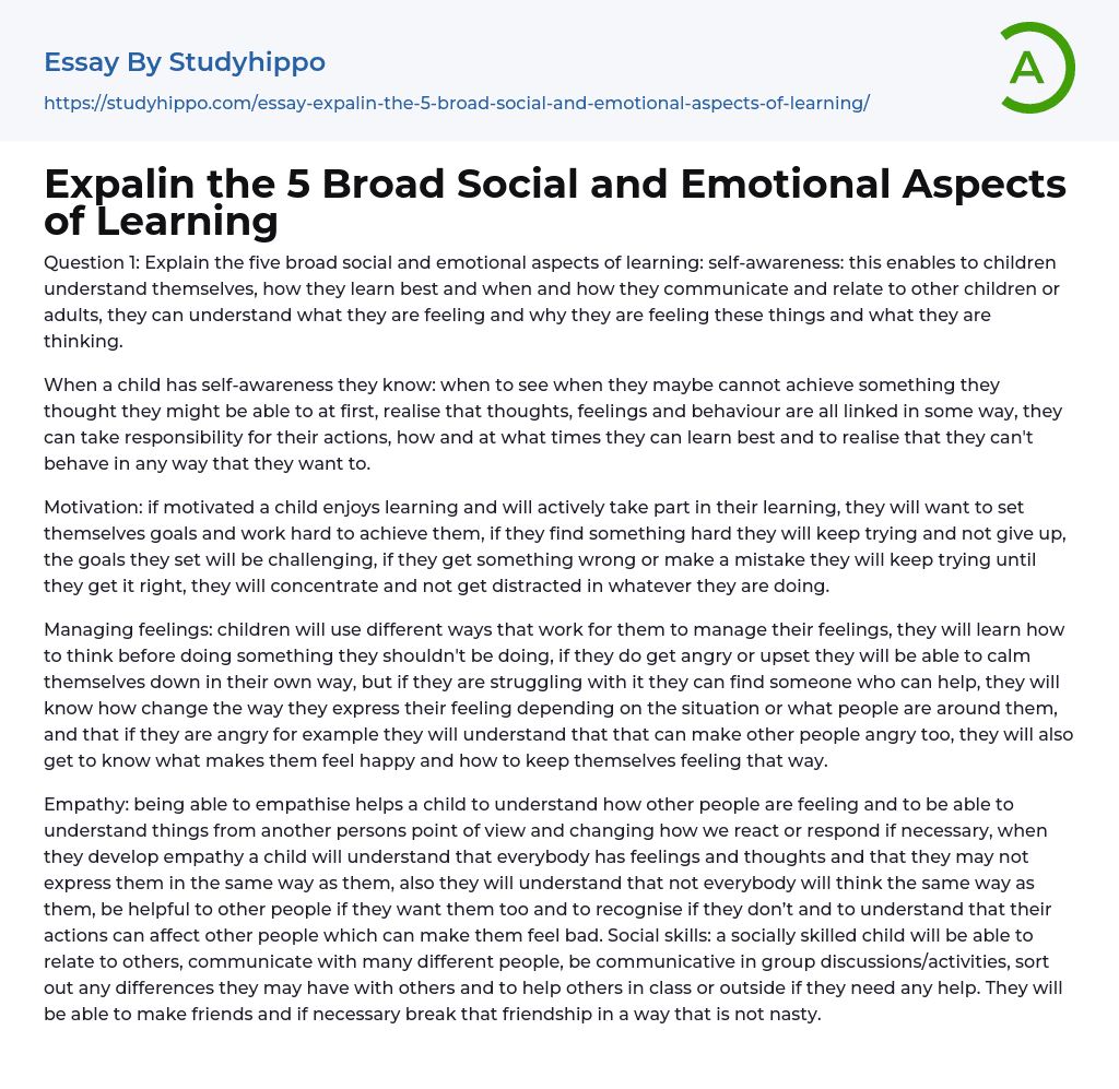 Expalin the 5 Broad Social and Emotional Aspects of Learning Essay Example