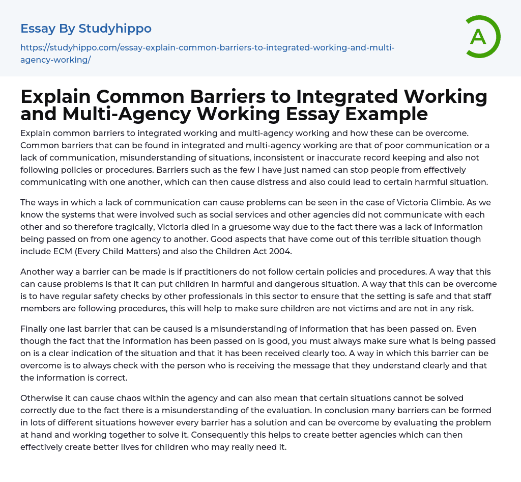 Explain Common Barriers to Integrated Working and Multi-Agency Working Essay Example