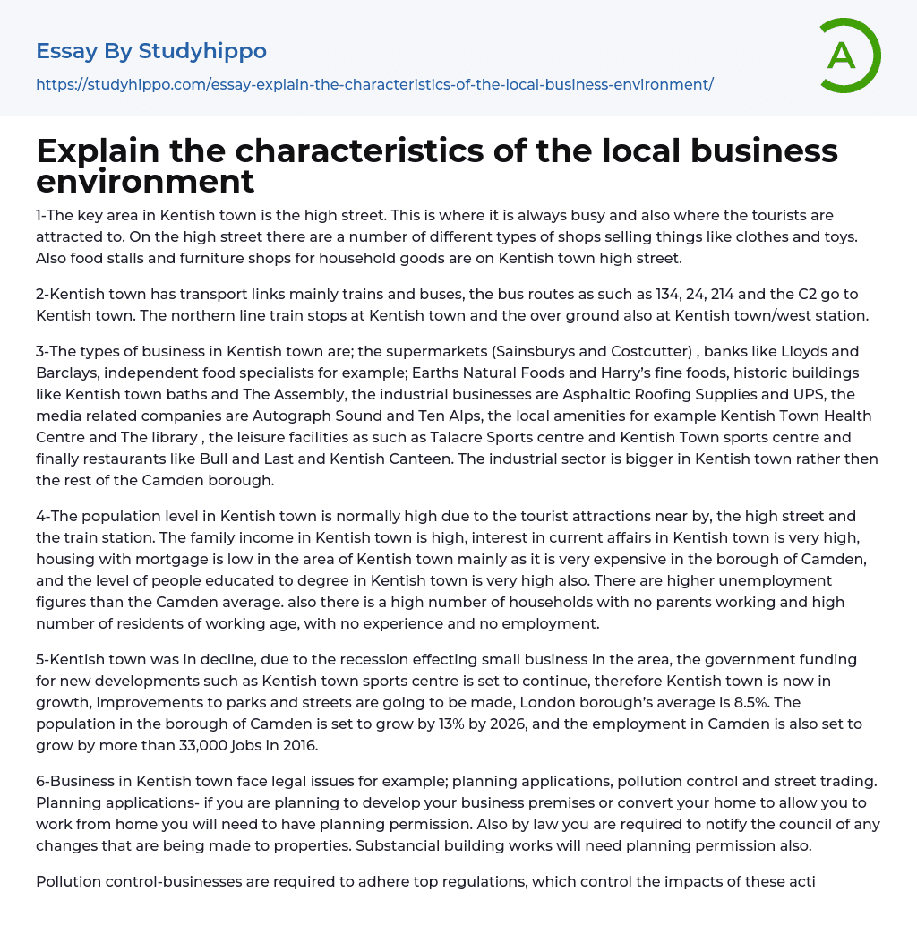 essay of business environment