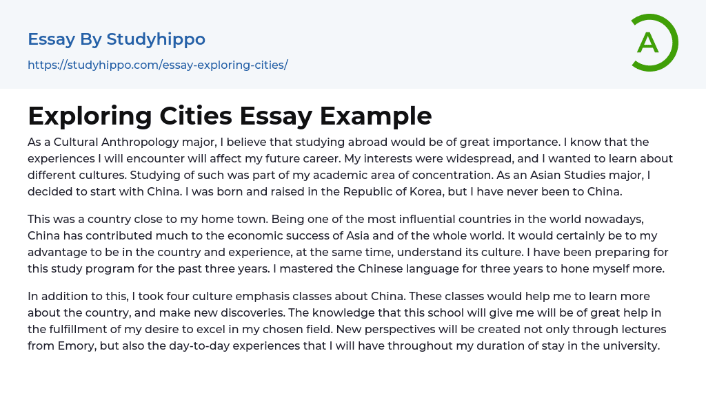 Exploring Cities Essay Example
