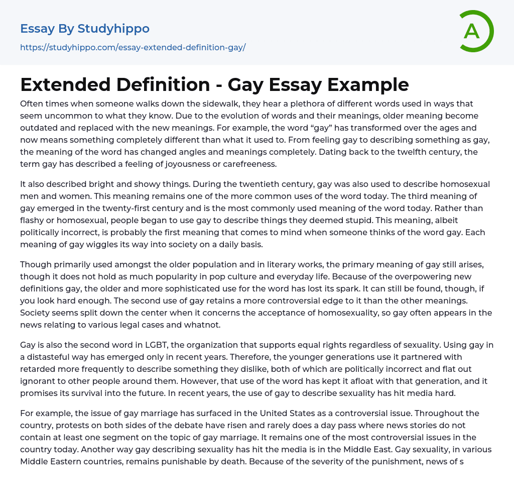 Extended Definition – Gay Essay Example