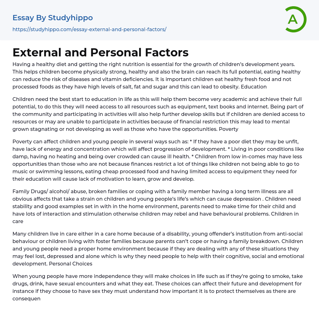 External and Personal Factors Essay Example