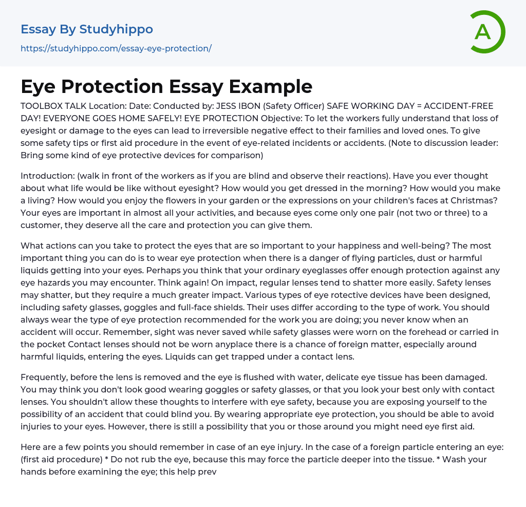 The Importance of Eye Protection Essay Example