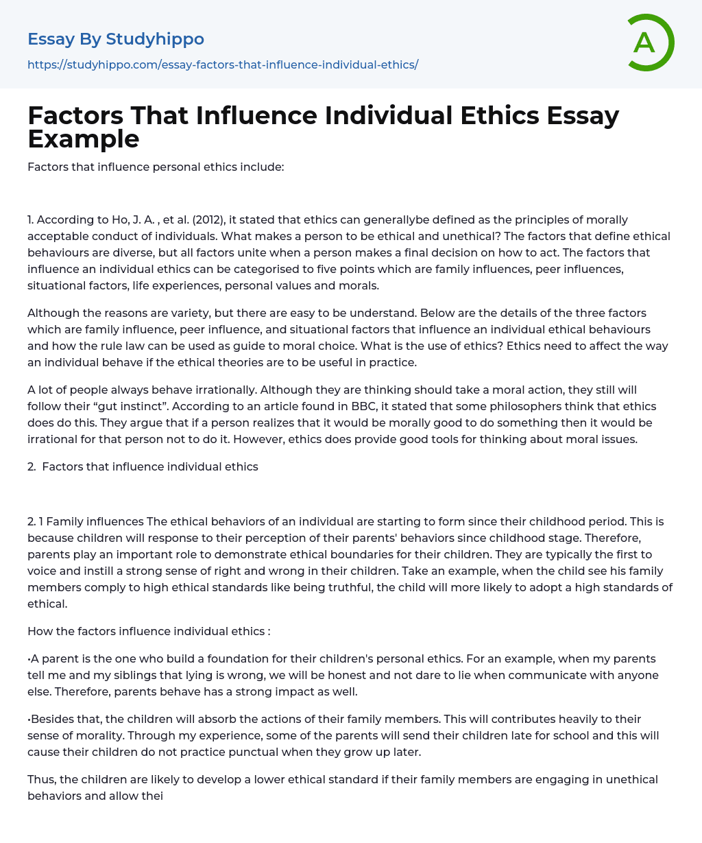 Factors That Influence Individual Ethics Essay Example