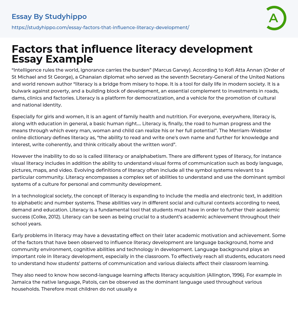 Factors that influence literacy development Essay Example