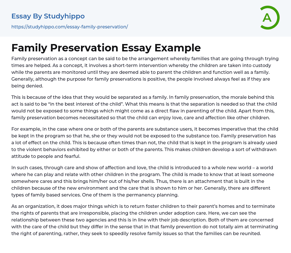 Family Preservation Essay Example