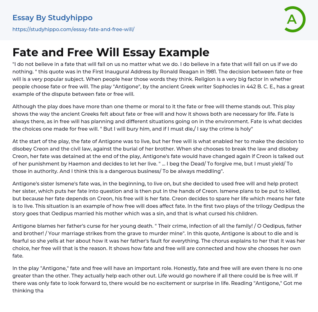 Fate and Free Will Essay Example