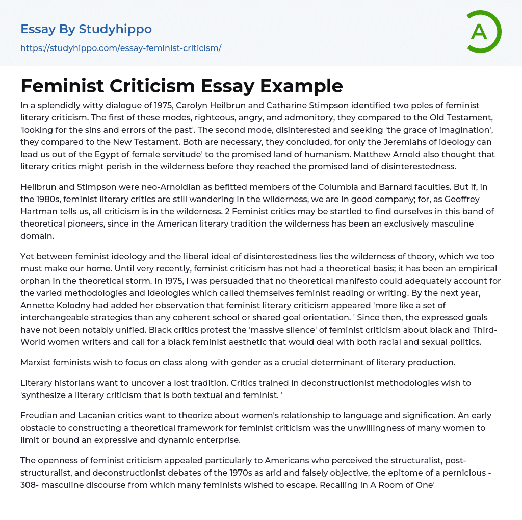 Feminist Criticism Essay Example