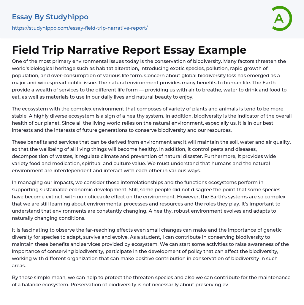 trip narrative essay