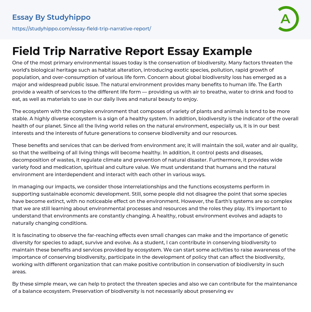 Field Trip Narrative Report Essay Example StudyHippo