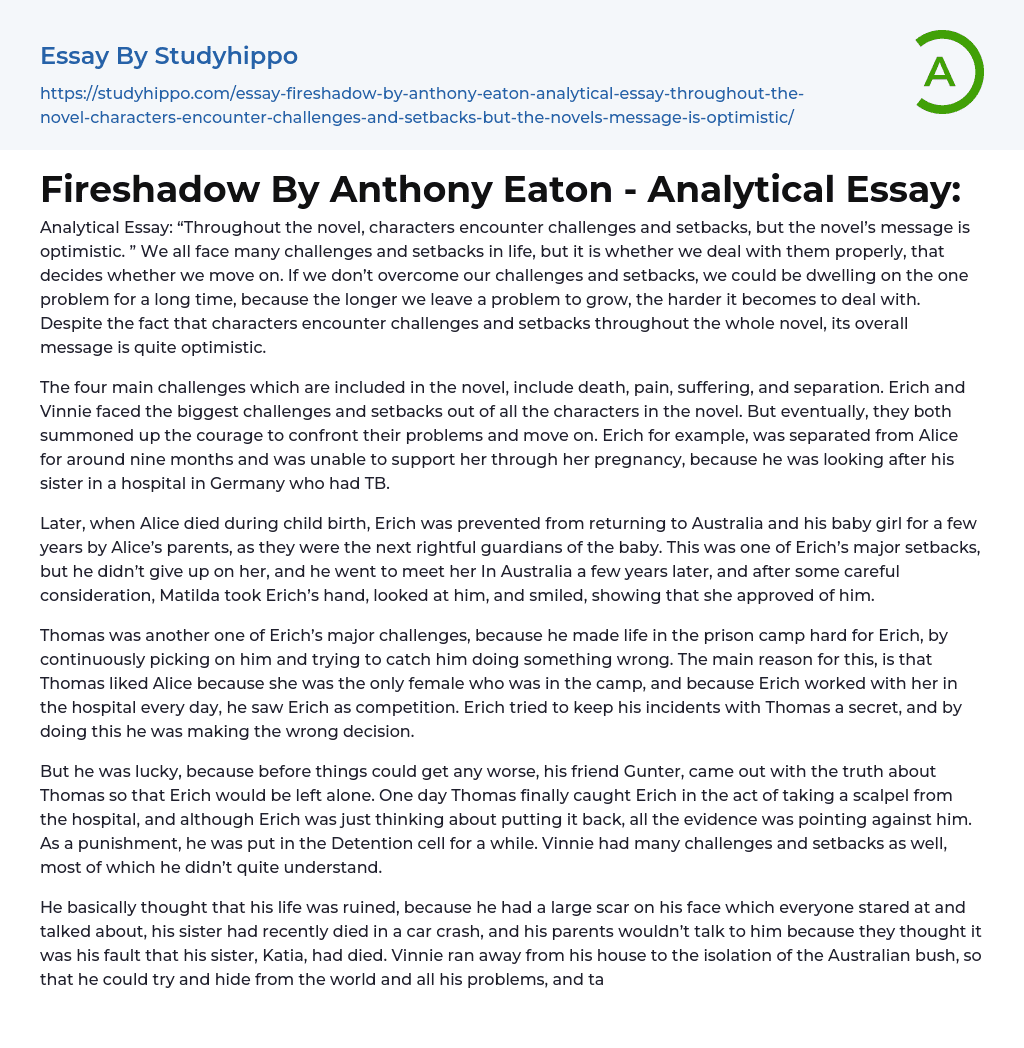Fireshadow By Anthony Eaton – Analytical Essay: