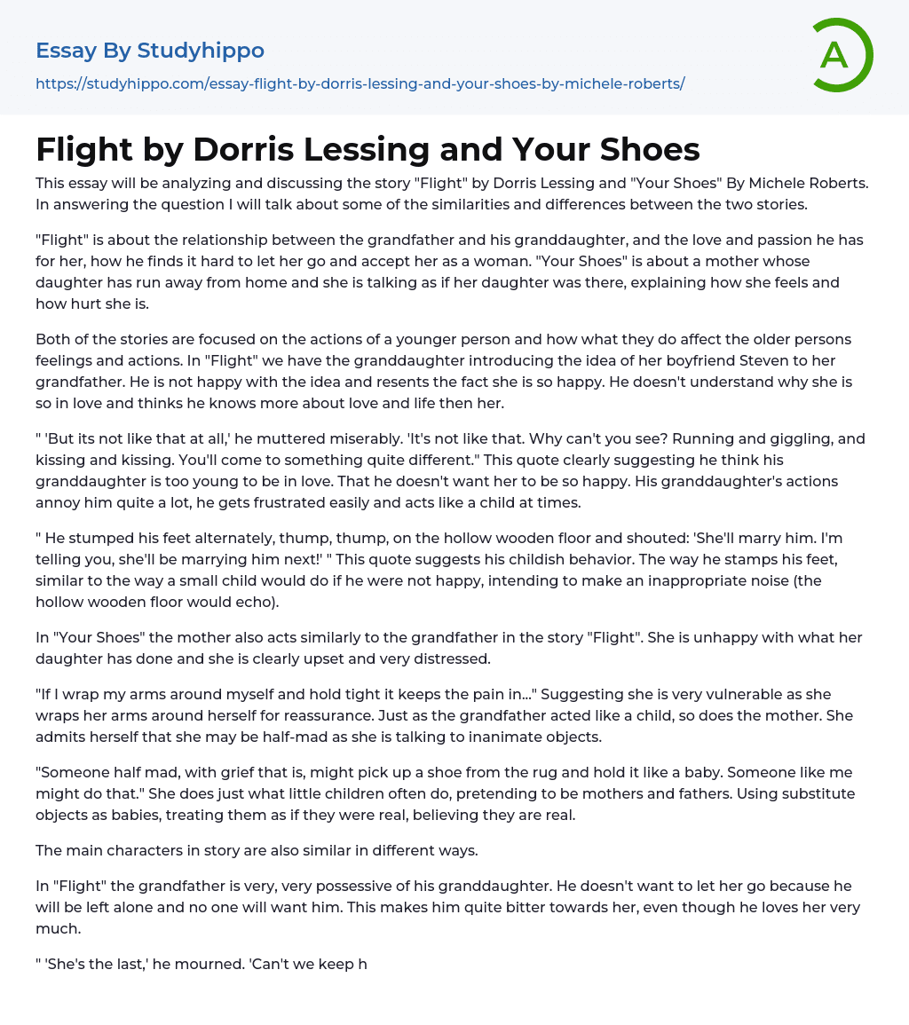 Flight by Dorris Lessing and Your Shoes Essay Example